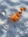 Top view of transparent wineglass with slices of ripe tangerines scattered on snow in nature in woodland in winter time