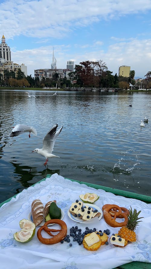 Baked products and fruits served on white plaid on seafront near rippling water with flying seagulls against buildings in city