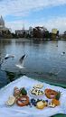 Baked products and fruits served on white plaid on seafront near rippling water with flying seagulls against buildings in city