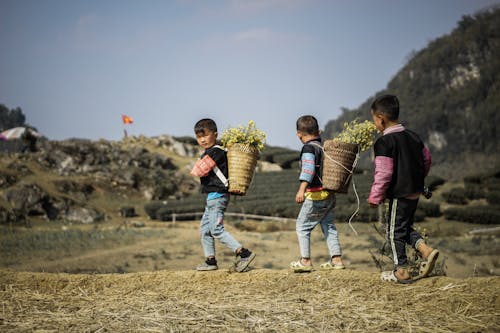 Shallow Focus of Three Children Carrying Pack Basket with Yellow Flowers