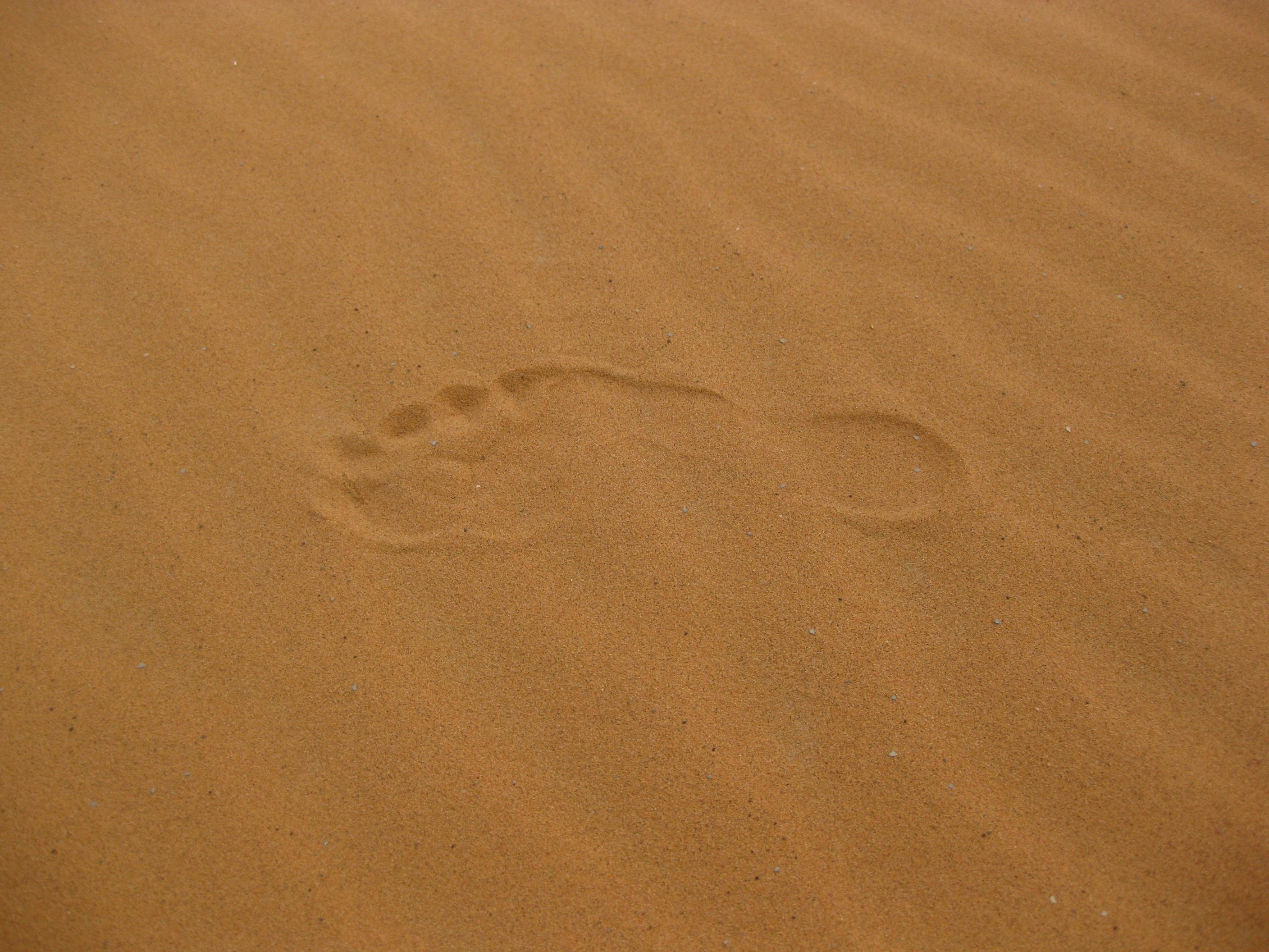 沙漠柔软的沙子上，孤独的人类足迹凸显了与世隔绝