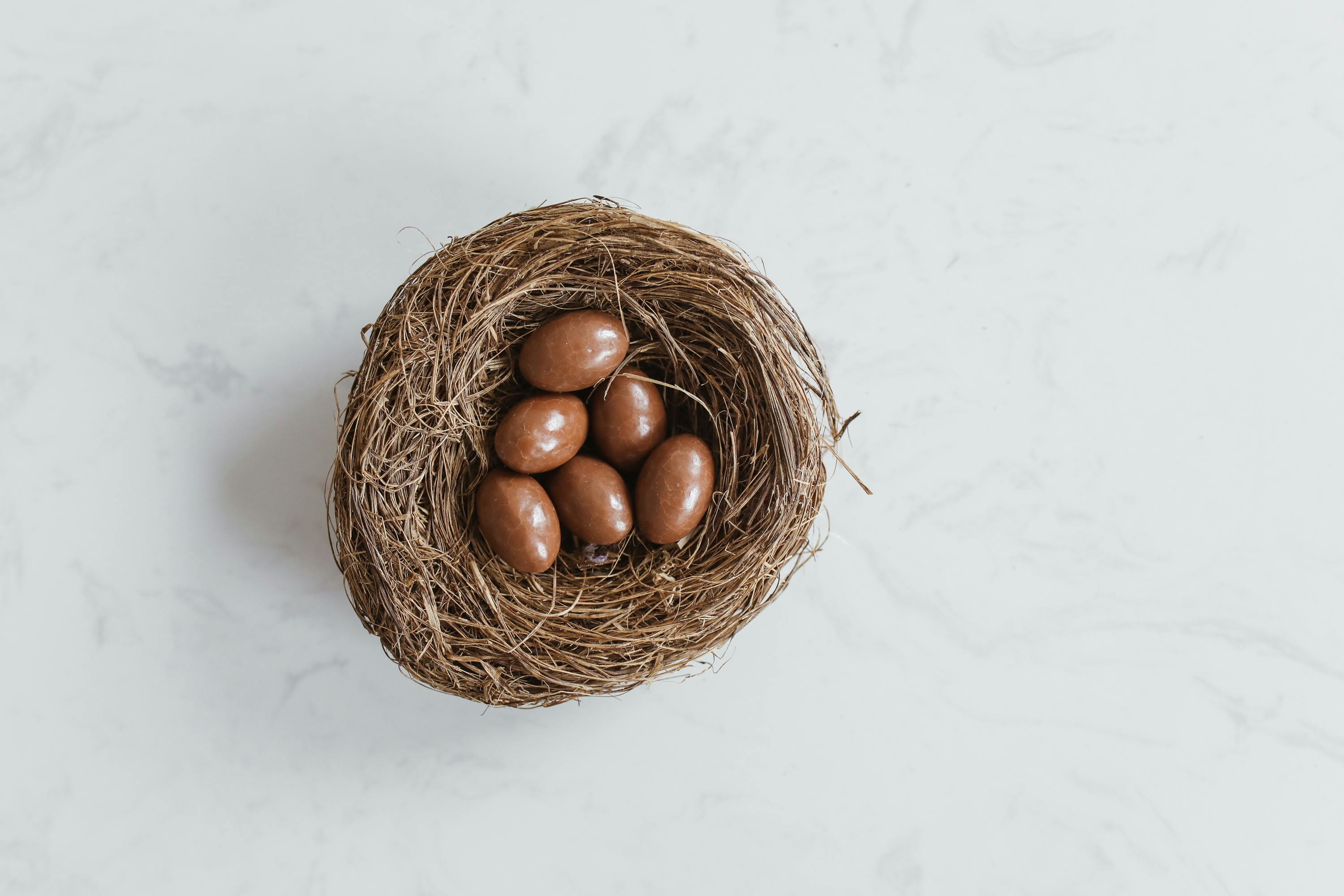 Brown Chocolate Coated Eggs in the Nest · Free Stock Photo