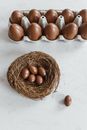 Brown Eggs on Brown Nest