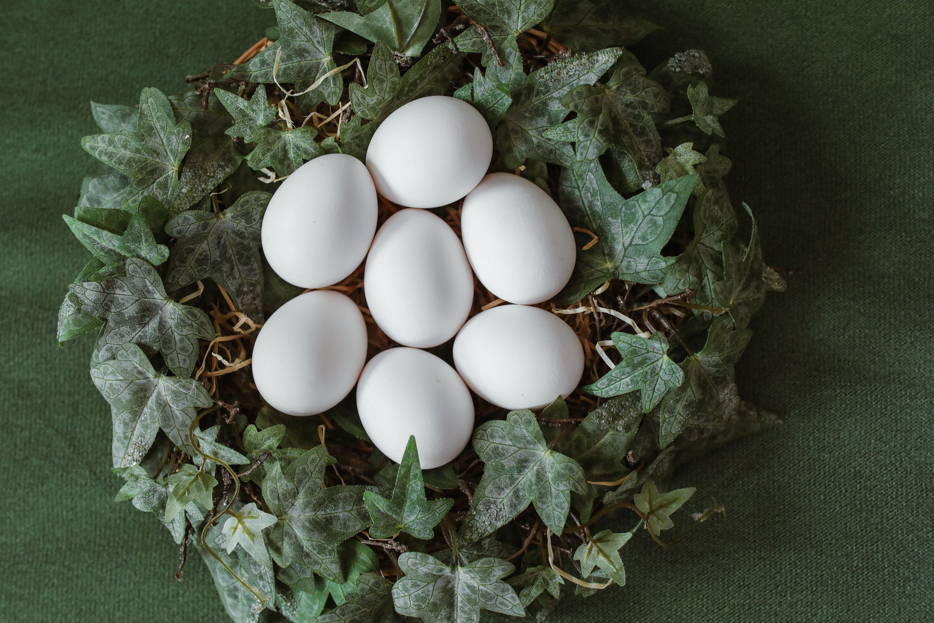 Fresh eggs laid in a nest on a small family farm