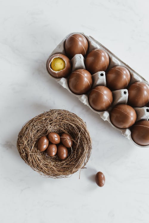 Kostenloses Stock Foto zu eier, essen, nest