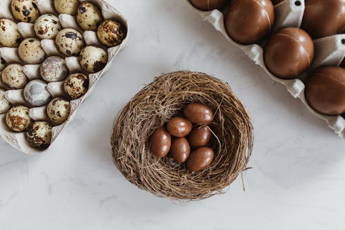 Darmowe zdjęcie z galerii z czekolada, gniazdo, jajka