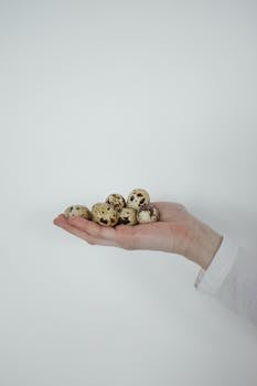 A human hand gently holding a collection of quail eggs in a minimalist setting.