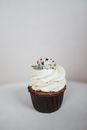 White and Brown Cupcake With White Icing on Top