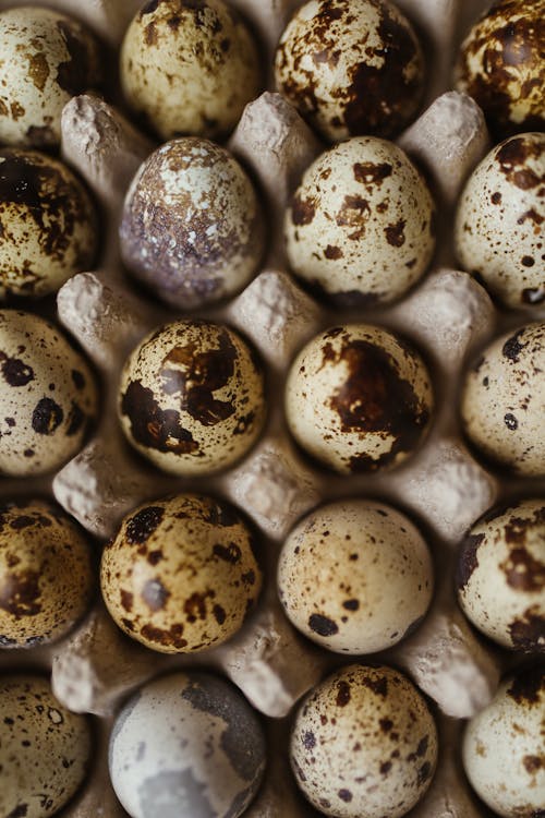 bıldırcın yumurtası, dikey atış, Gıda içeren Ücretsiz stok fotoğraf