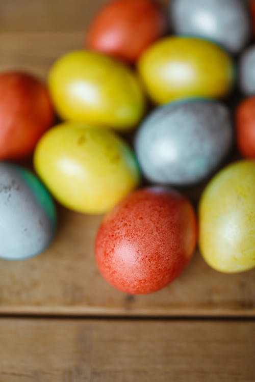 나무, 달걀, 색깔의 무료 스톡 사진