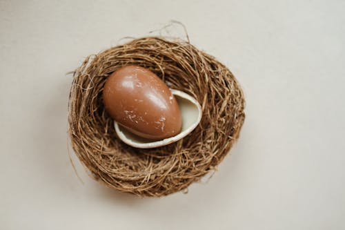 Close Up of Chocolate Egg in Nest