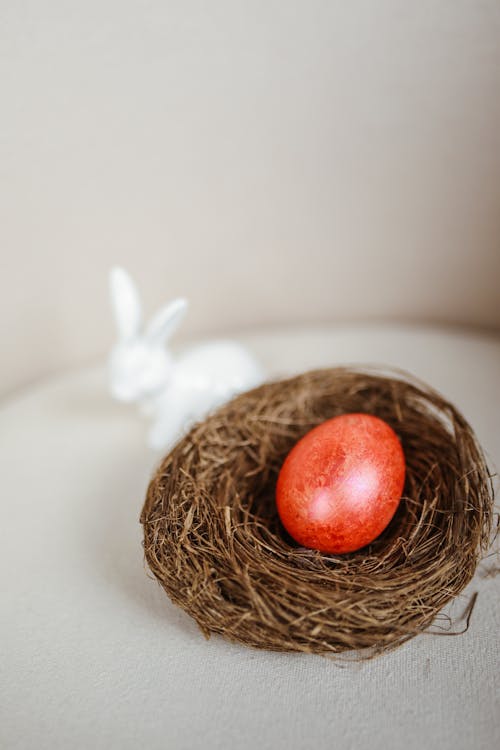 Darmowe zdjęcie z galerii z białe tło, czerwone jajko, gniazdo