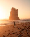 Silhouette of a Person Walking on the Shore