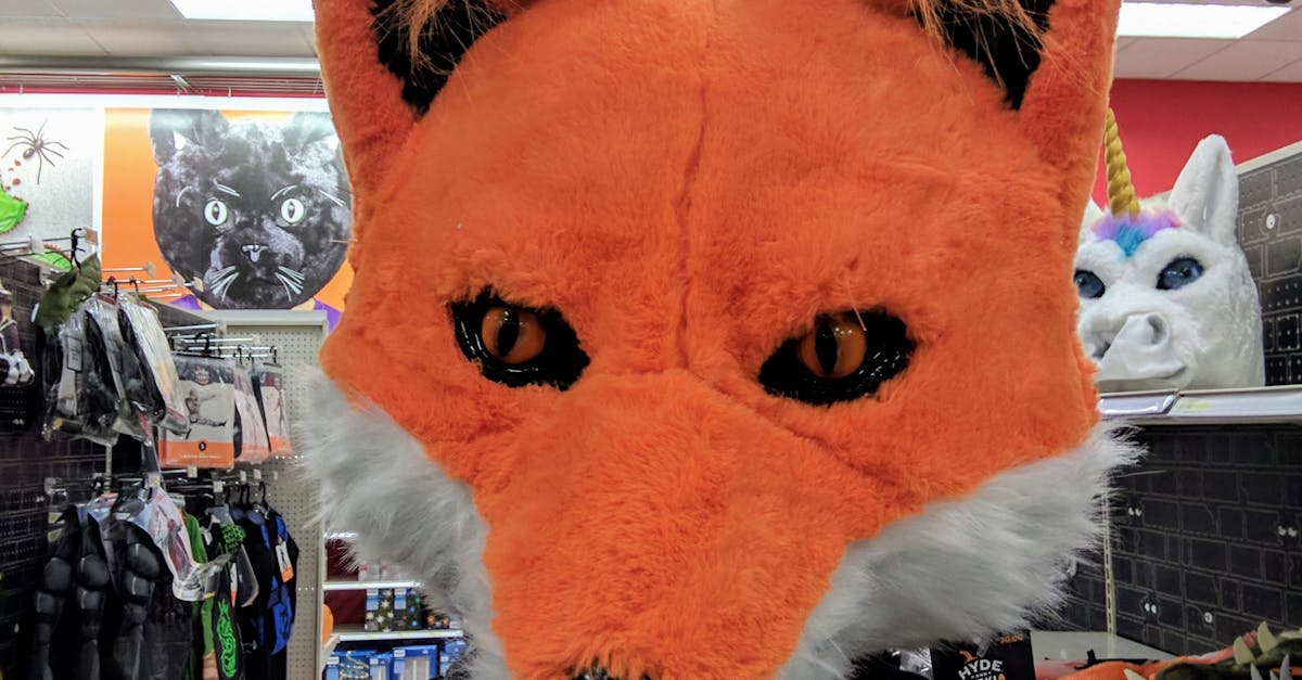 Free stock photo of fox, Fox mask, mask