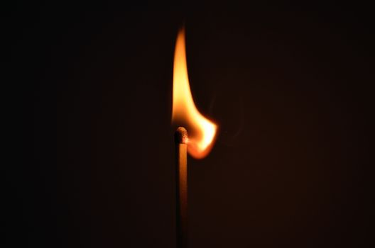 Captivating close-up image of a burning matchstick in the dark, showcasing light and fire details.
