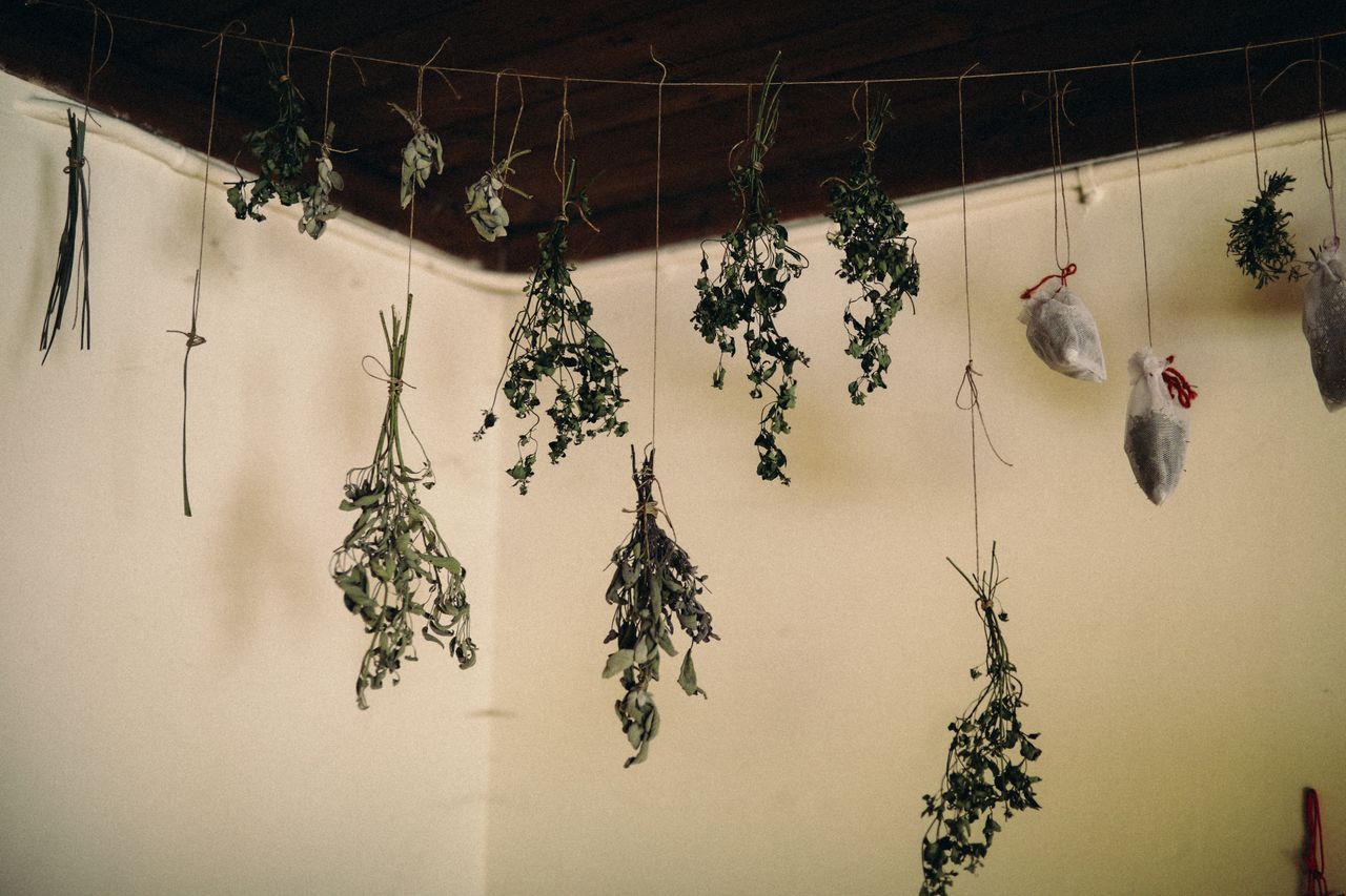 Herb bundles and small bags hanging from a line to dry indoors