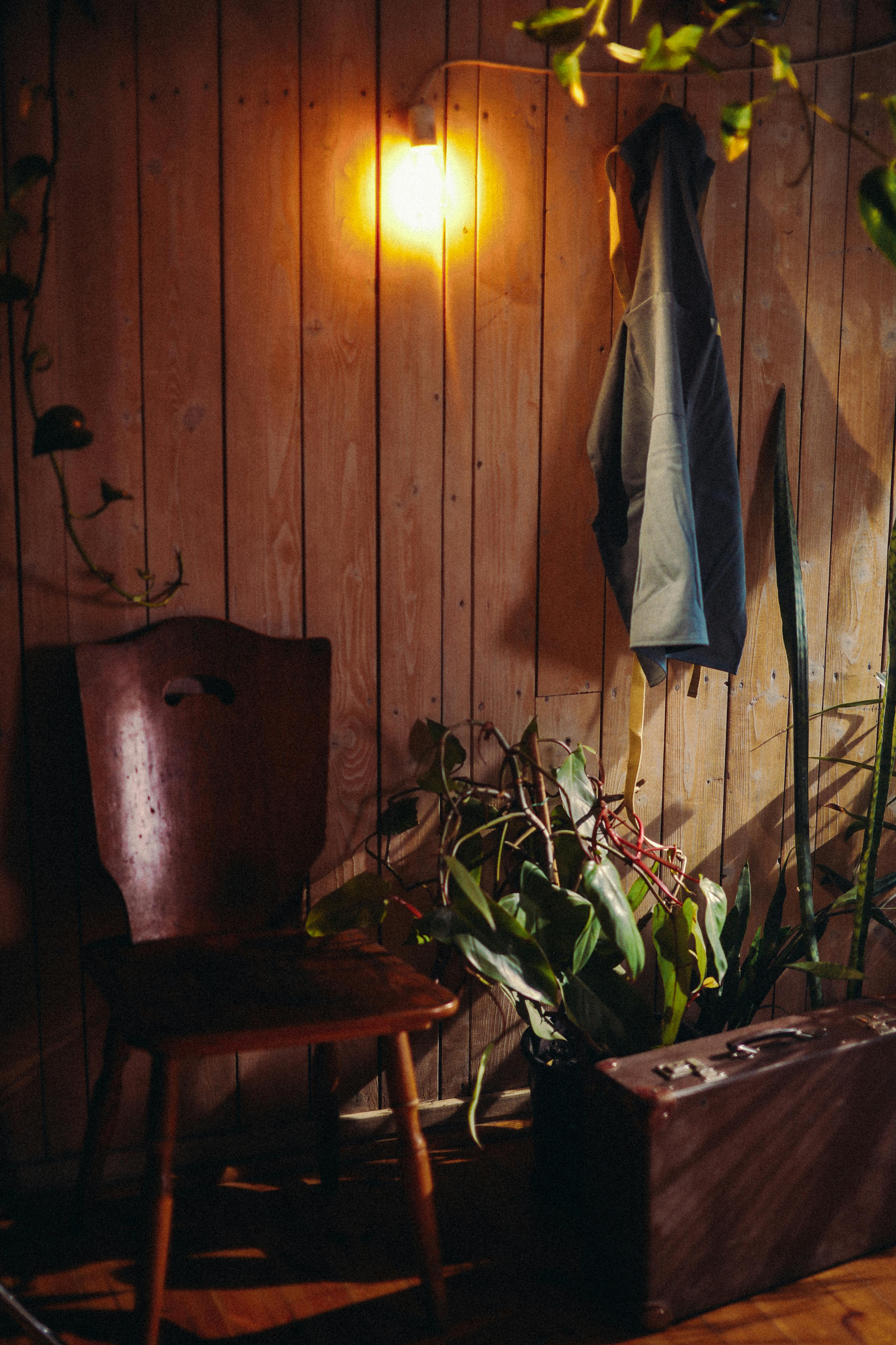Free Warmly lit corner with a wooden chair, green plants, and a hanging jacket. Stock Photo