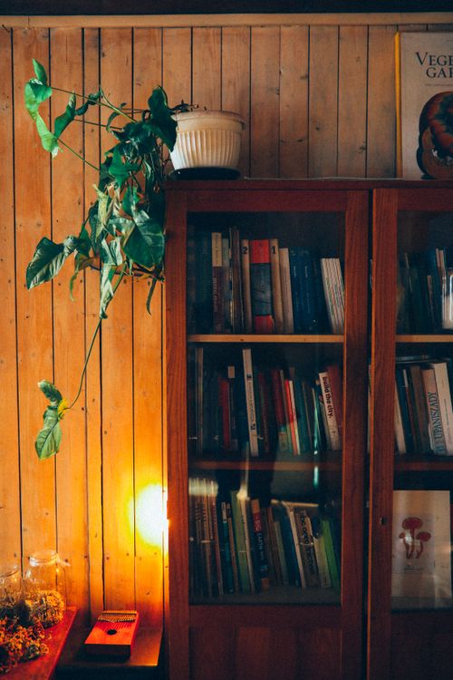 Free A warm and inviting home library with a wooden bookcase filled with books and a lush green plant. Stock Photo
