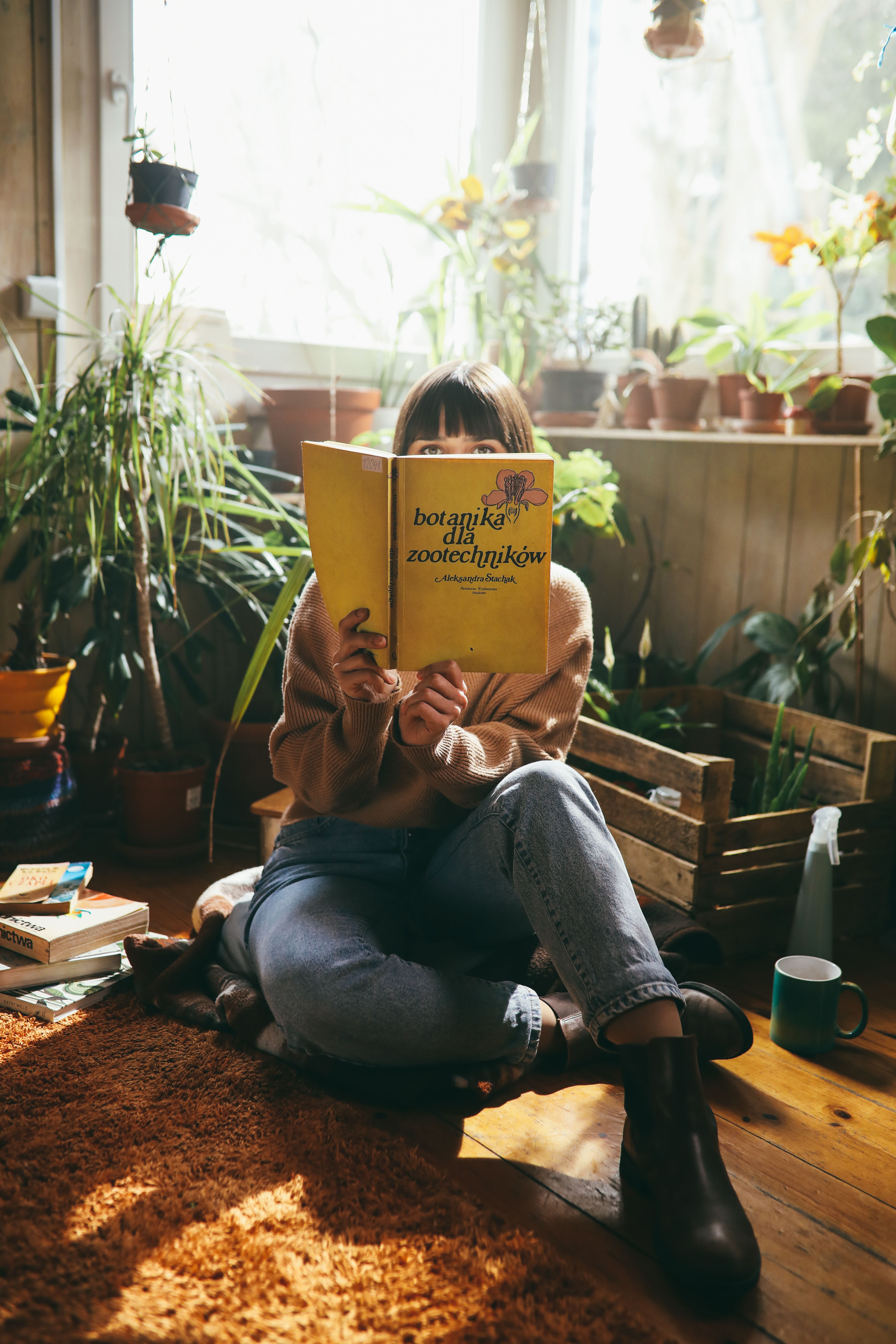 Woman reading a book surrounded by potted plants in a sunlit room, creating a cozy ambiance.