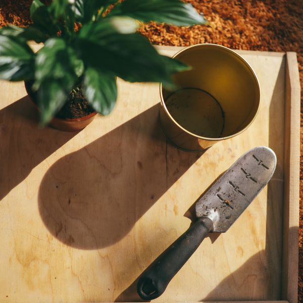 Stainless Steel Garden Trowel