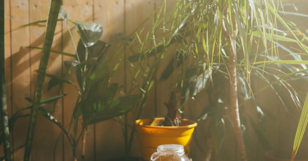 Flower pot drawing design