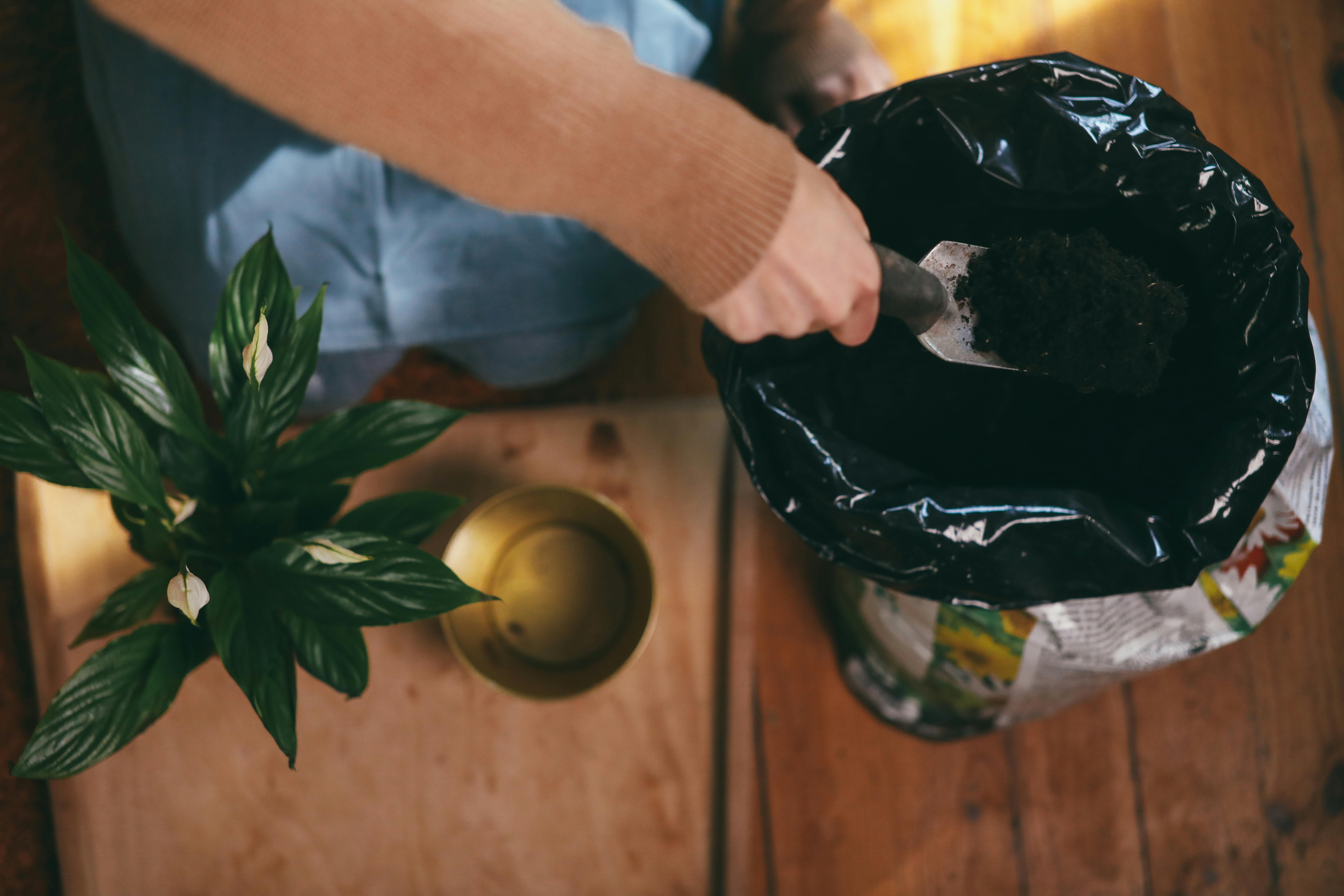 person holding black plastic bag