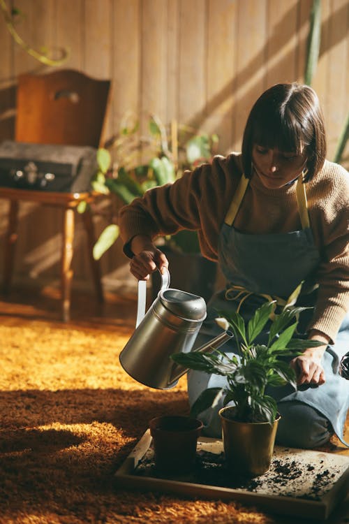 Free A Woman in Brown Sweater Holding a Watering Can Stock Photo