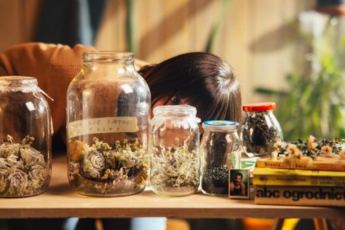 Free A woman peeks through a collection of jars containing dried flowers and other objects on a wooden table. Stock Photo