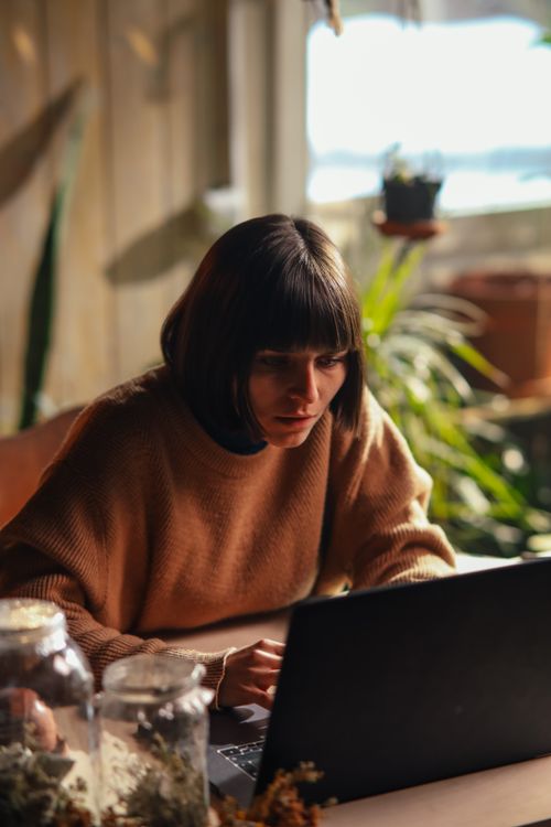 Free A woman in a cozy sweater concentrates on her laptop in a sunlit room, surrounded by plants. Stock Photo
