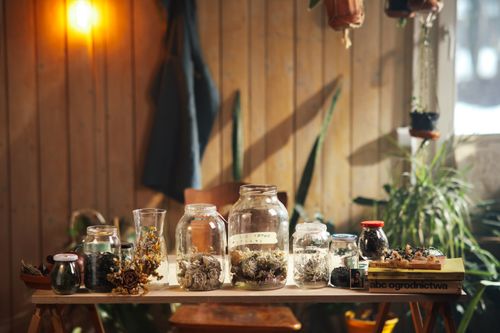 Free Warm indoor scene with dried herbs in glass jars on a rustic table. Stock Photo