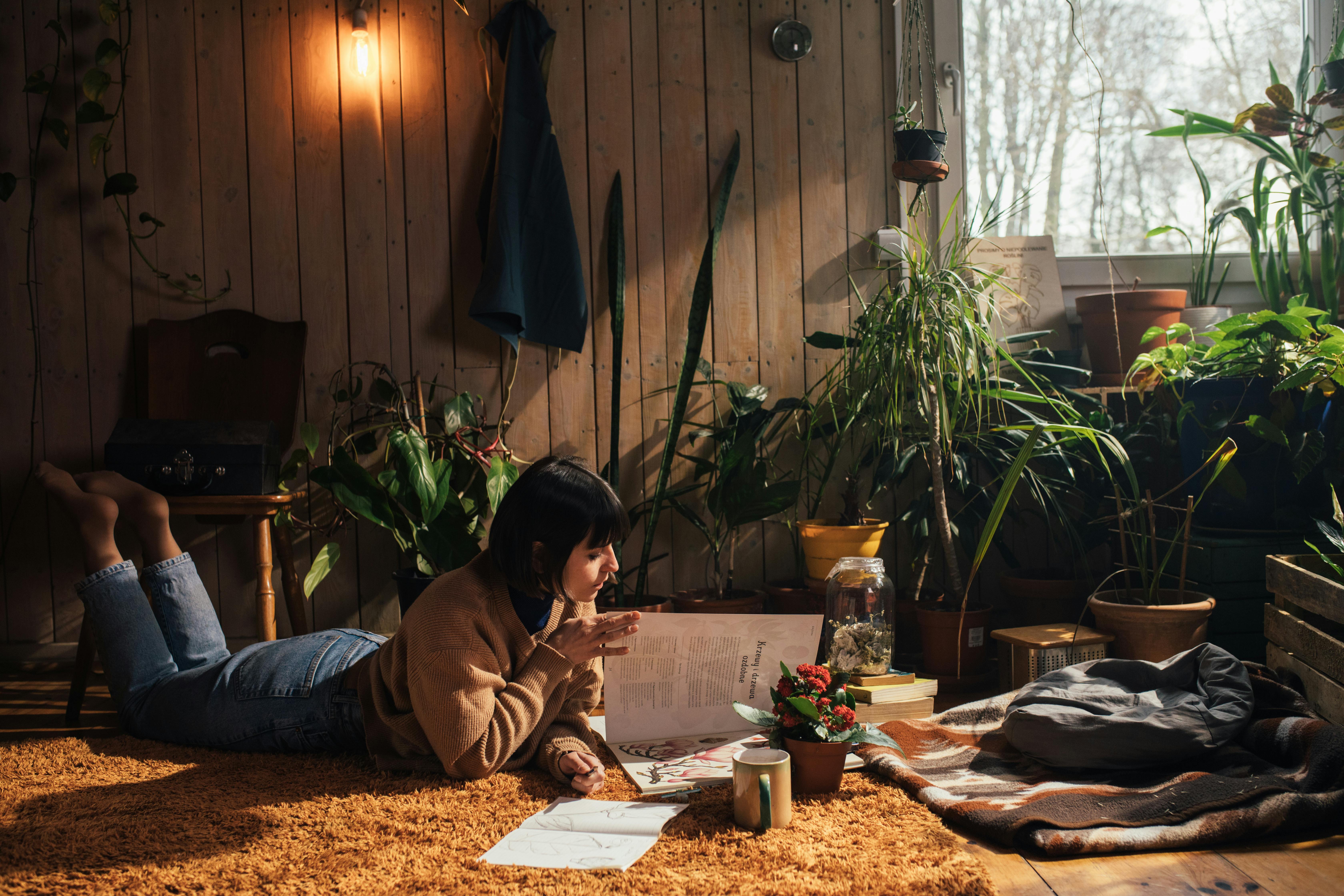 Free A woman reading in a cozy room filled with lush indoor plants and warm lighting. Stock Photo