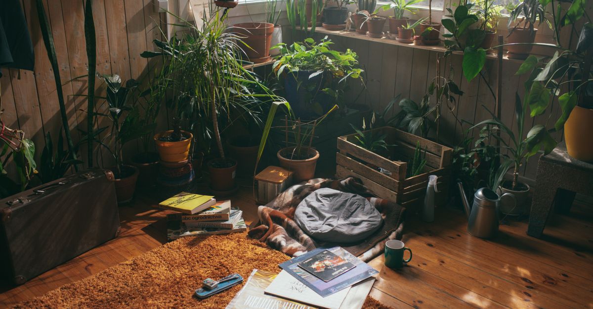 Come Creare Micro Giardini Fai da Te: Guida Passo Passo
