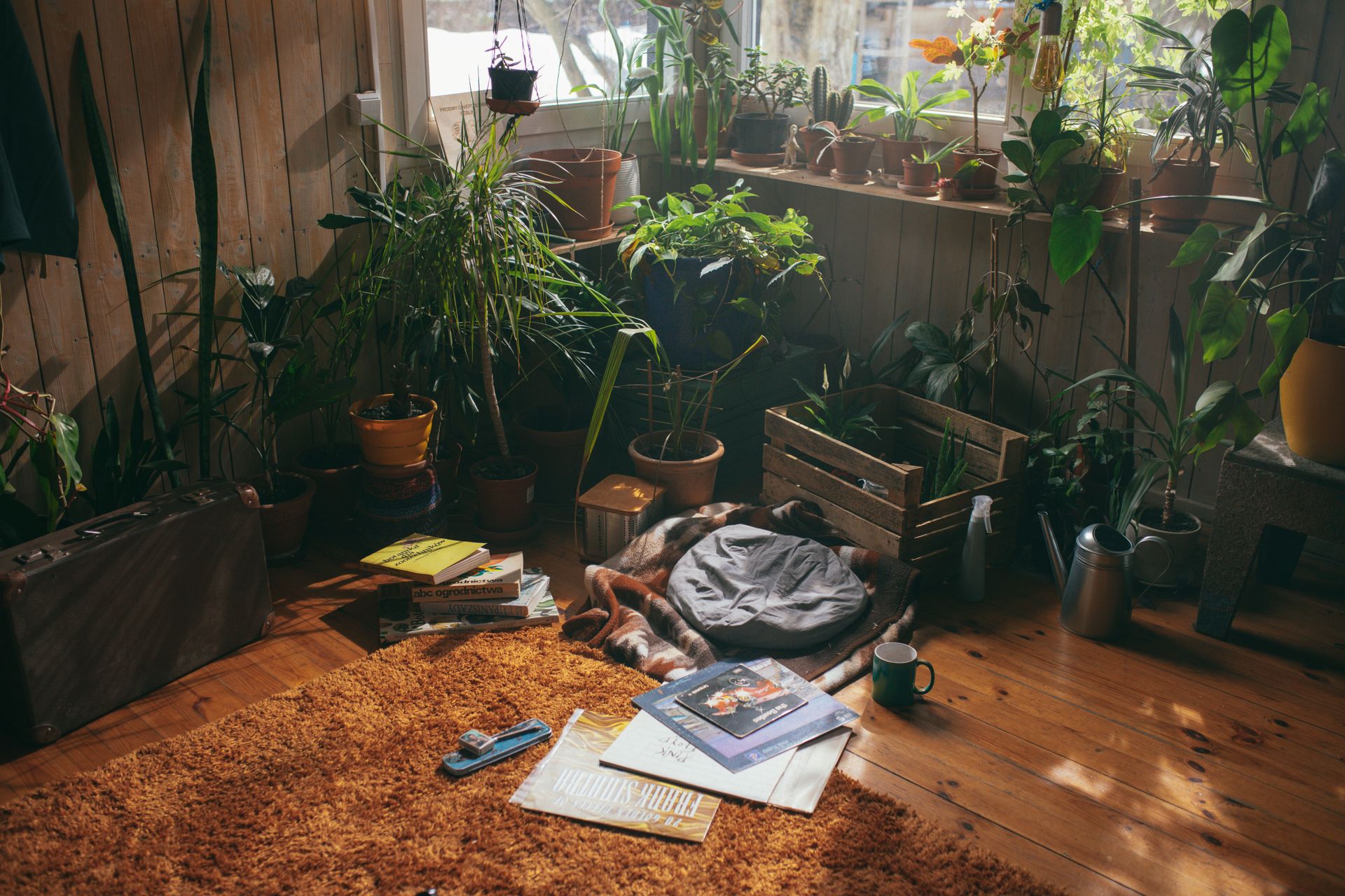An Interior of a House with Indoor Plants