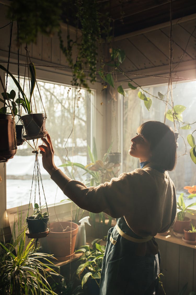 
A Woman With Short Hair Looking At A Hanging Plant