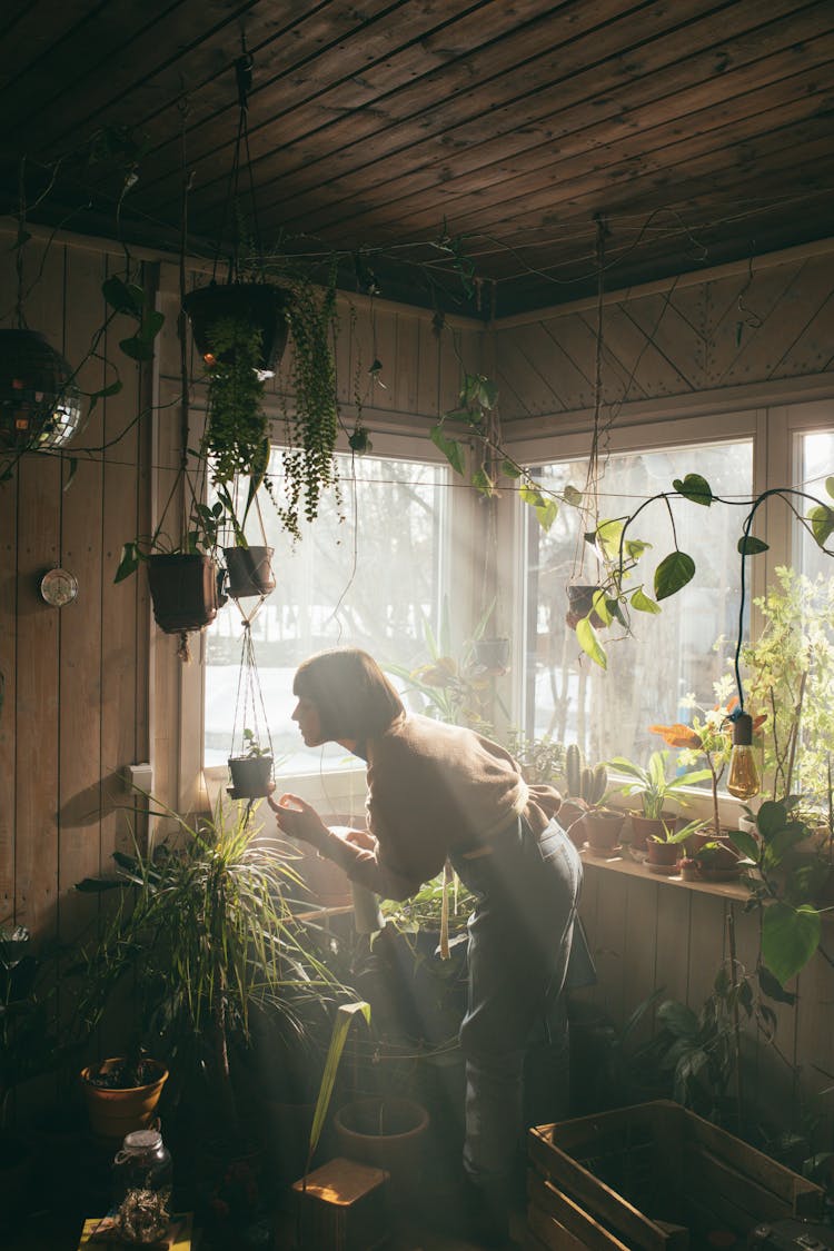 A Woman With Short Hair Looking At A Hanging Plant