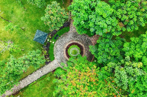 Aerial View of a Park with Green Trees