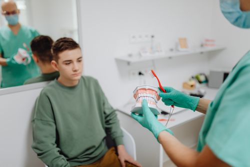 Free A teenager learns about dental hygiene from a dentist using a tooth model in a clinic setting. Stock Photo