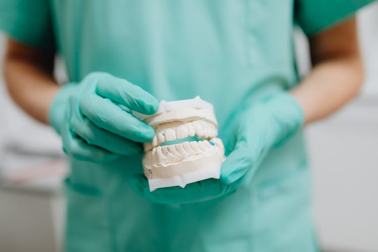 Close-up Photo Of Dental Cast