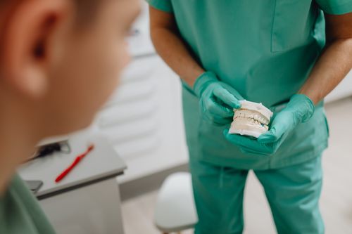 Free Dentist in green scrubs holding a dental mold during patient consultation in clinic. Stock Photo