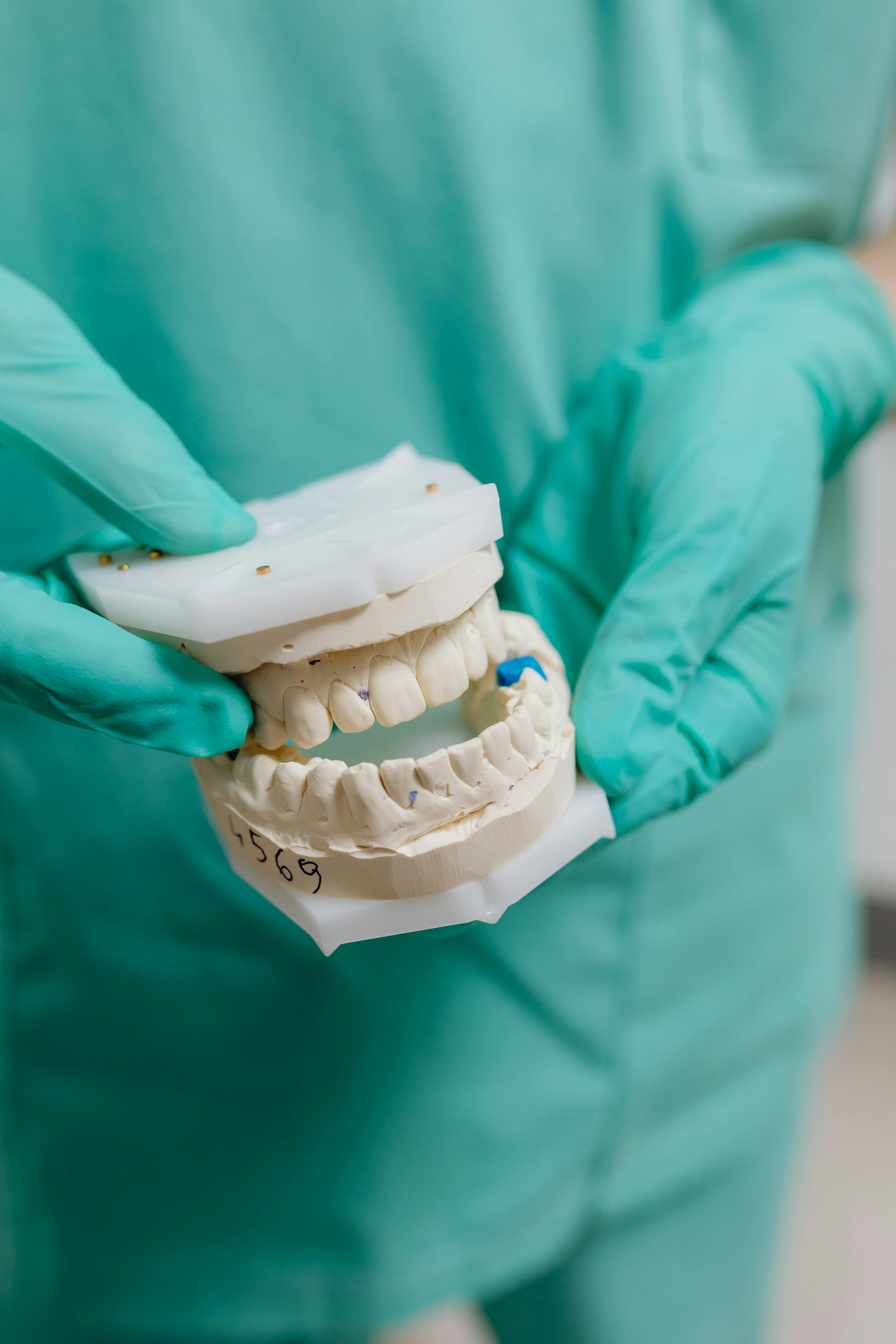 Closeup Photo of Dental Cast · Free Stock Photo