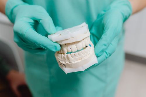 Free Close-up view of a dental model held by a professional with green gloves in a clinic setting. Stock Photo