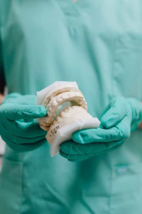 Free Close-up of dentist in scrubs holding a dental cast in a clinic setting. Stock Photo