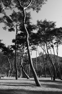 Karina Zaher, uw mondhygiënist