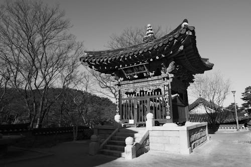 
A Grayscale of a Temple in Seoul