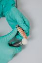 A Close-Up Shot of a Person Polishing a Denture