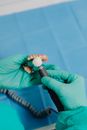 A Close-Up Shot of a Person Polishing a Denture