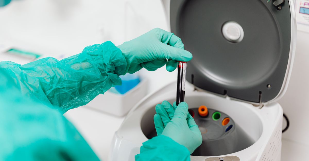Molbio Diagnostics Aims for Growth with ₹940 Crore IPO