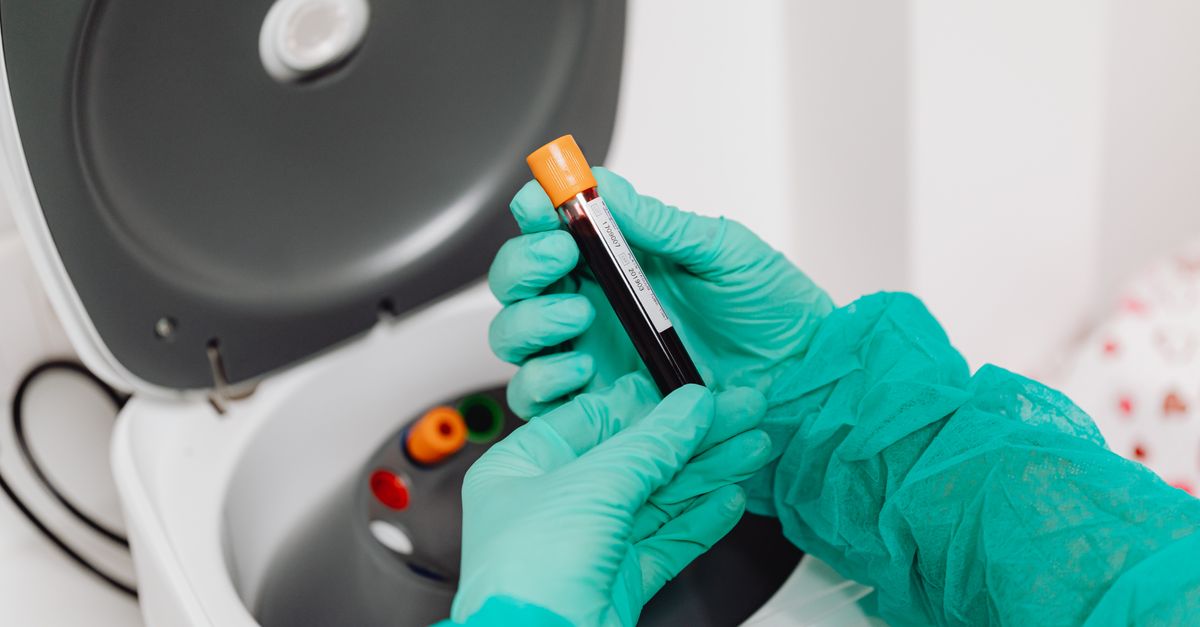 Molbio Diagnostics IPO: A High-Stakes Bet for Investors