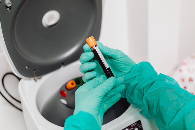 Putting Blood Vials Into Laboratory Centrifuge