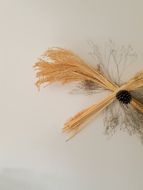 Decorative bouquet of cereal grass and dry branches with cone attached on white background